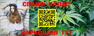 тгк Тула