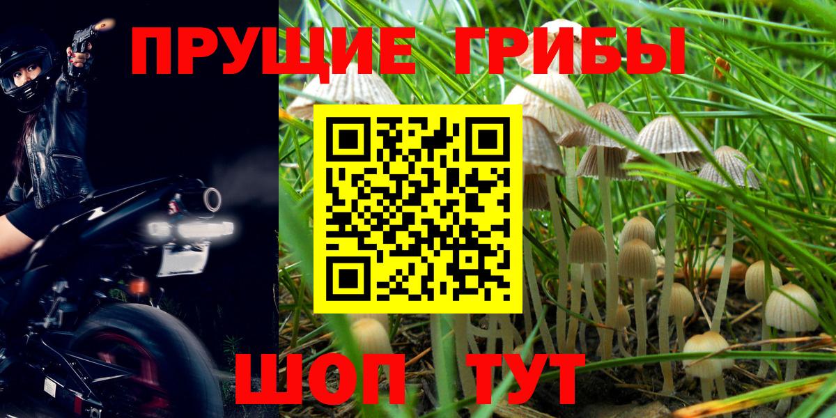 Гашиш  A PVP СК   LSD-25  Меф   Каннабис  Новозыбков  КОКАИН  МДМА  Вход с VPN 