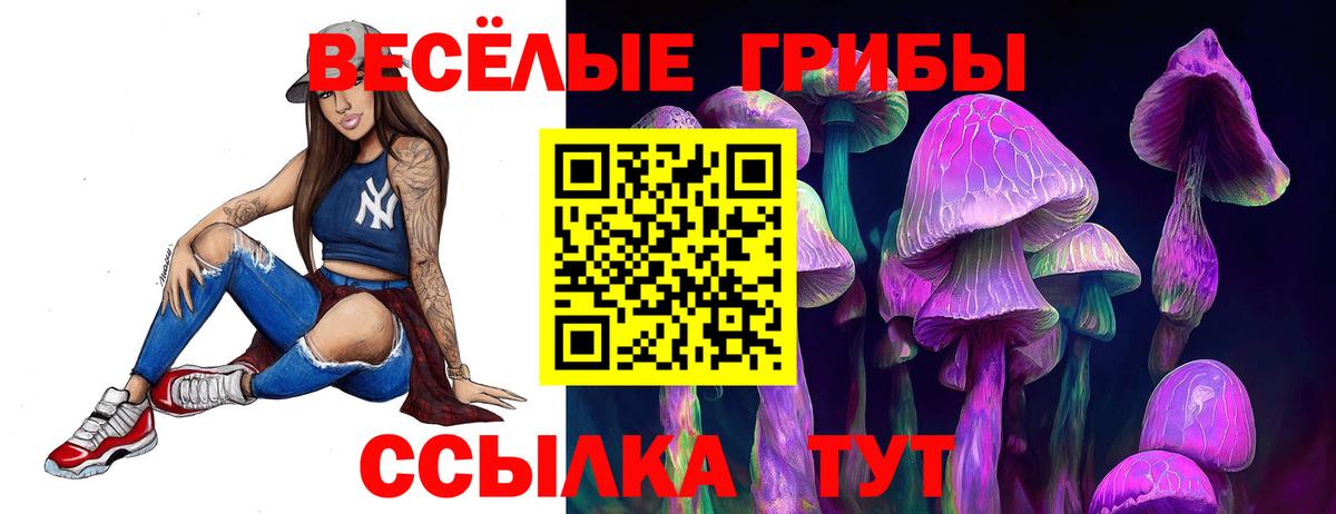 Новозыбков  Псилоцибиновые грибы Psilocybe  Вход с VPN 
